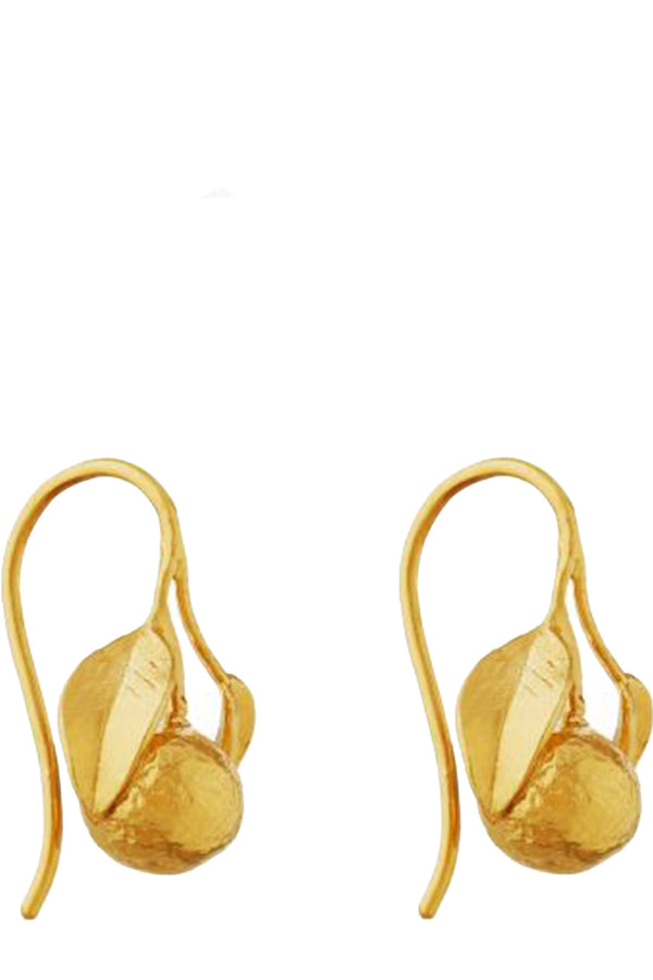 The Orange hook earrings in gold colour from the brand ALEX MONROE