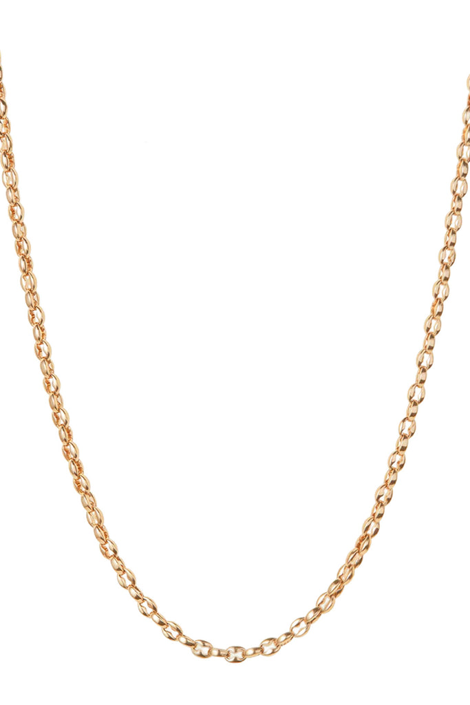 Dhani Chain Necklace