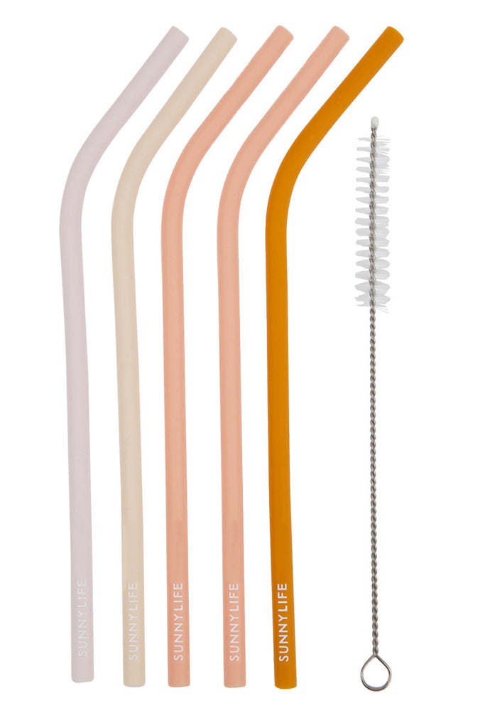 Colourful Reusable Straws – 4 Pack