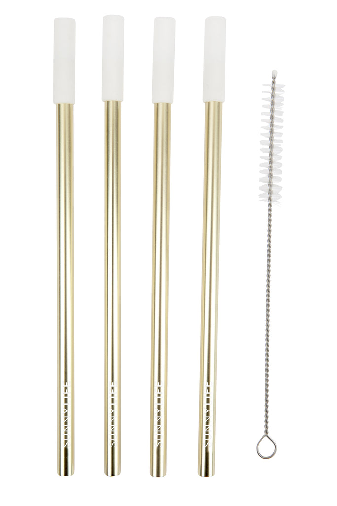 Reusable Metal Straws – 4 Pack
